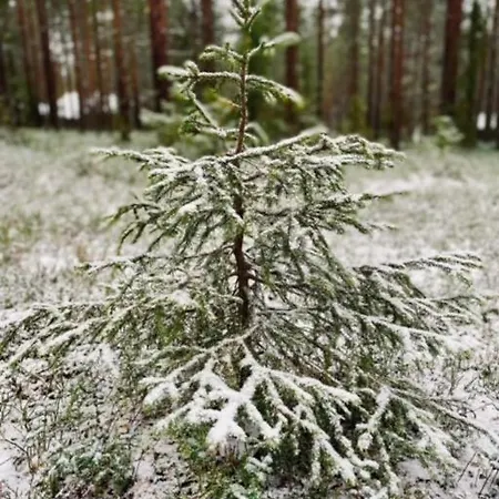 Lejlighed Escape Visit Levi