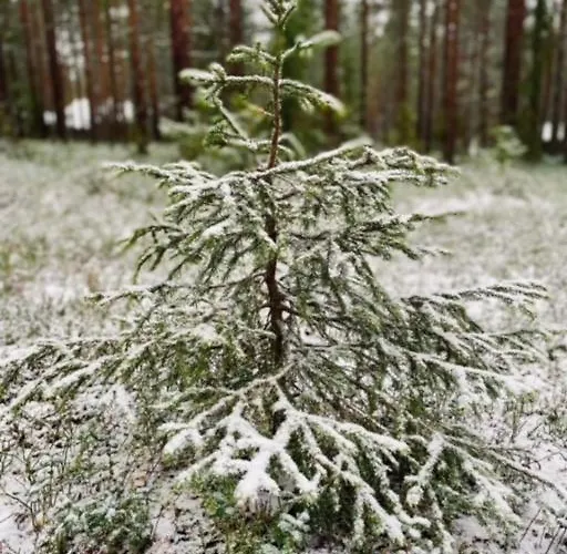 Διαμέρισμα Escape Visit Levi