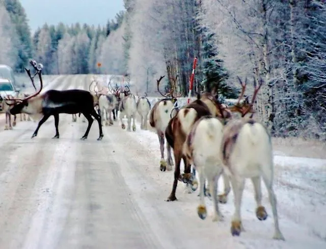 Escape Visit Διαμέρισμα *